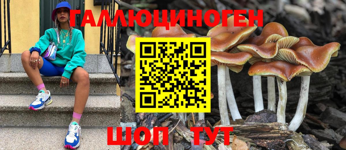 Чебоксары  Галлюциногенные грибы Psilocybe  Вход с VPN 
