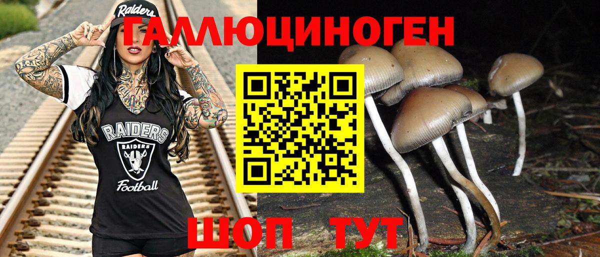 Псилоцибиновые грибы мицелий Чебоксары